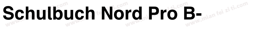 Schulbuch Nord Pro B字体转换